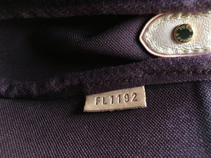 Louis Vuitton Favorite PM Monogram Bag (FL1192)