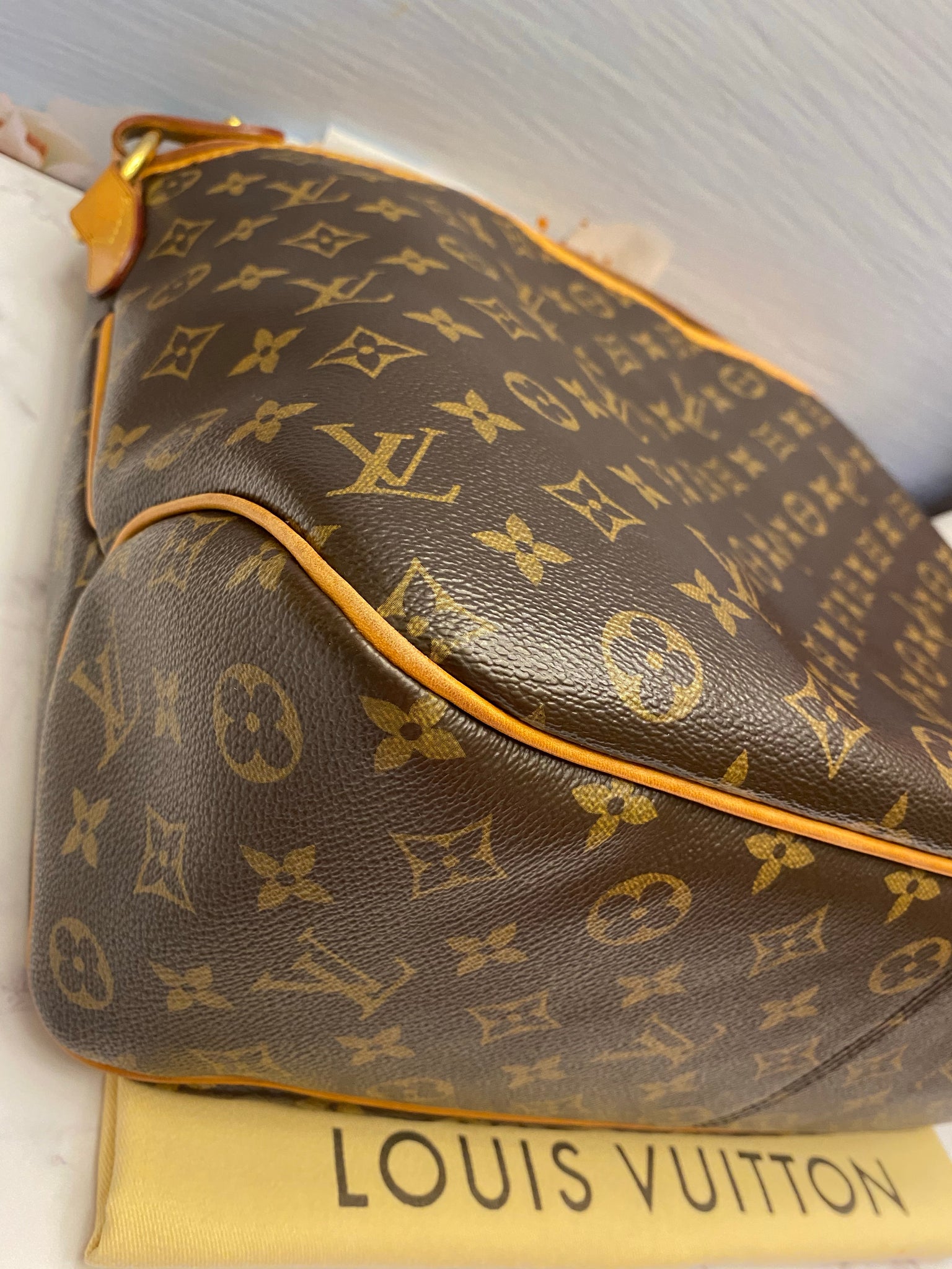 Louis Vuitton Delightful PM Monogram Bag (FL2192) – AE Deluxe LLC®