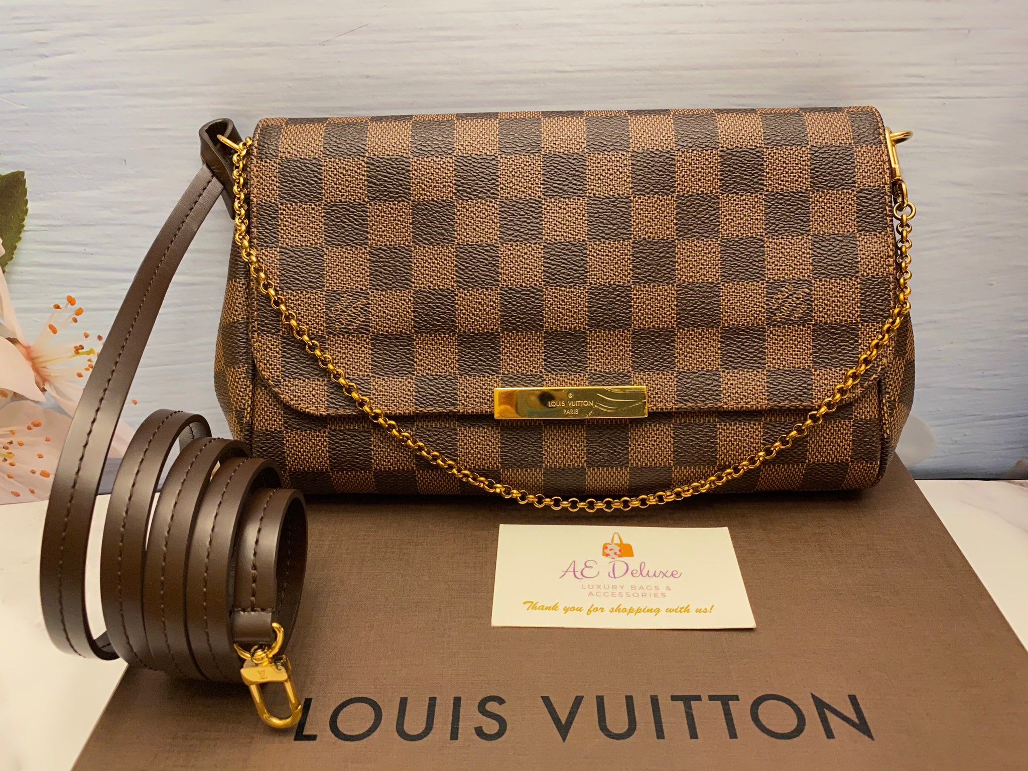 Louis Vuitton Favorite MM Damier Ebene Bag (FL0116) – AE Deluxe LLC®