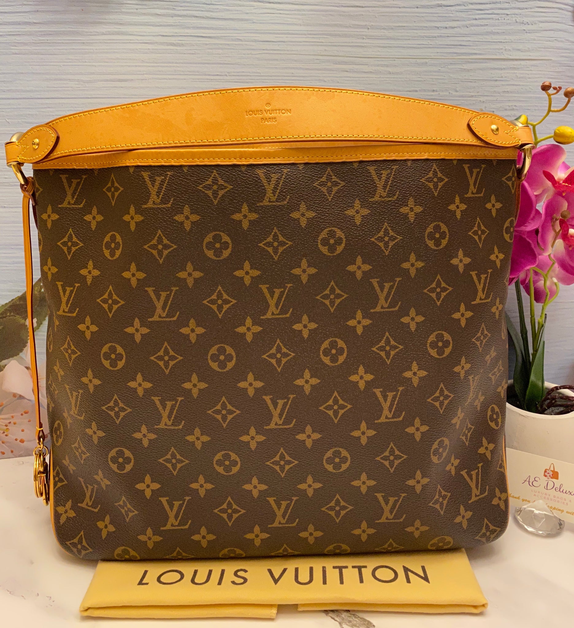 Louis Vuitton Delightful Mm Monogram Canvas Damier Ebene Brown Shoulder Bag