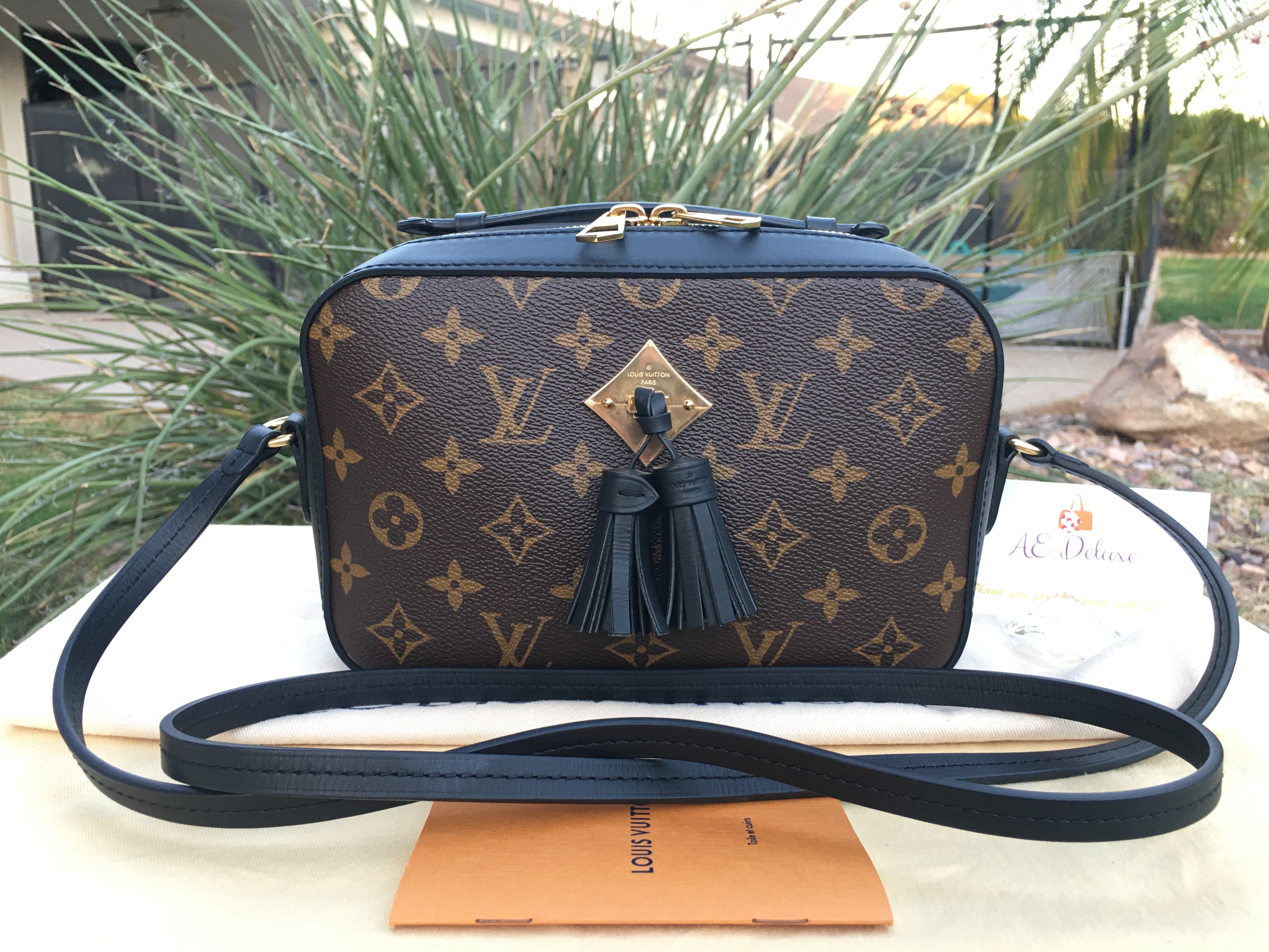Louis Vuitton Monogram Saintonge - Brown Crossbody Bags, Handbags -  LOU795024