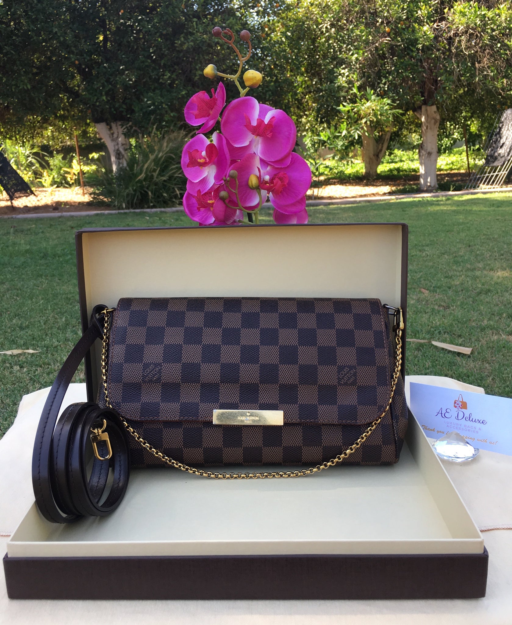 Louis Vuitton Damier Favourite MM Shoulder Bag