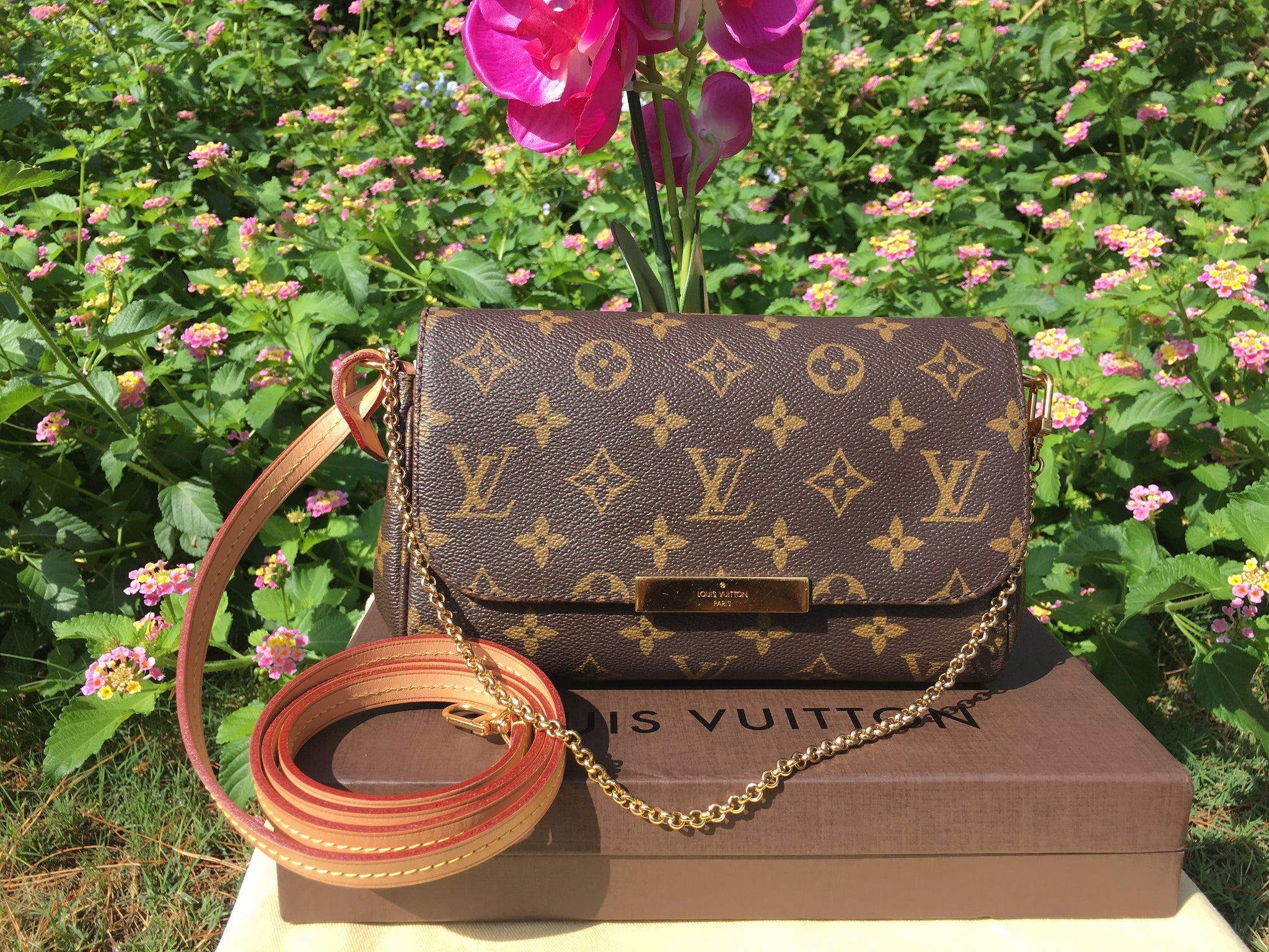 Louis Vuitton Favorite PM Monogram Crossbody Bag (DU0193) – AE