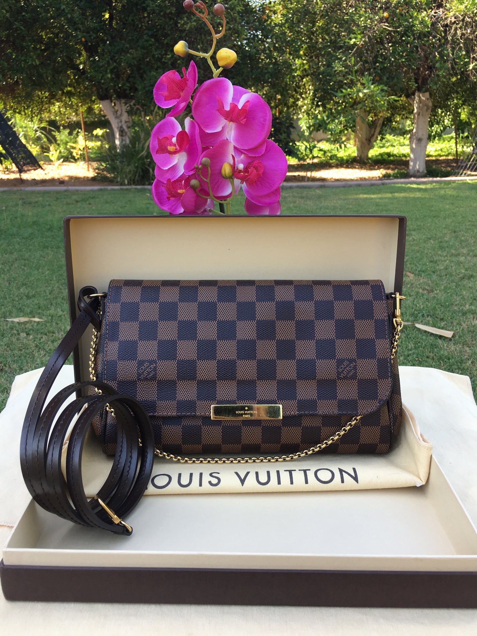 Louis Vuitton Favorite MM Damier Ebene Crossbody W/ Box & Dust Bag