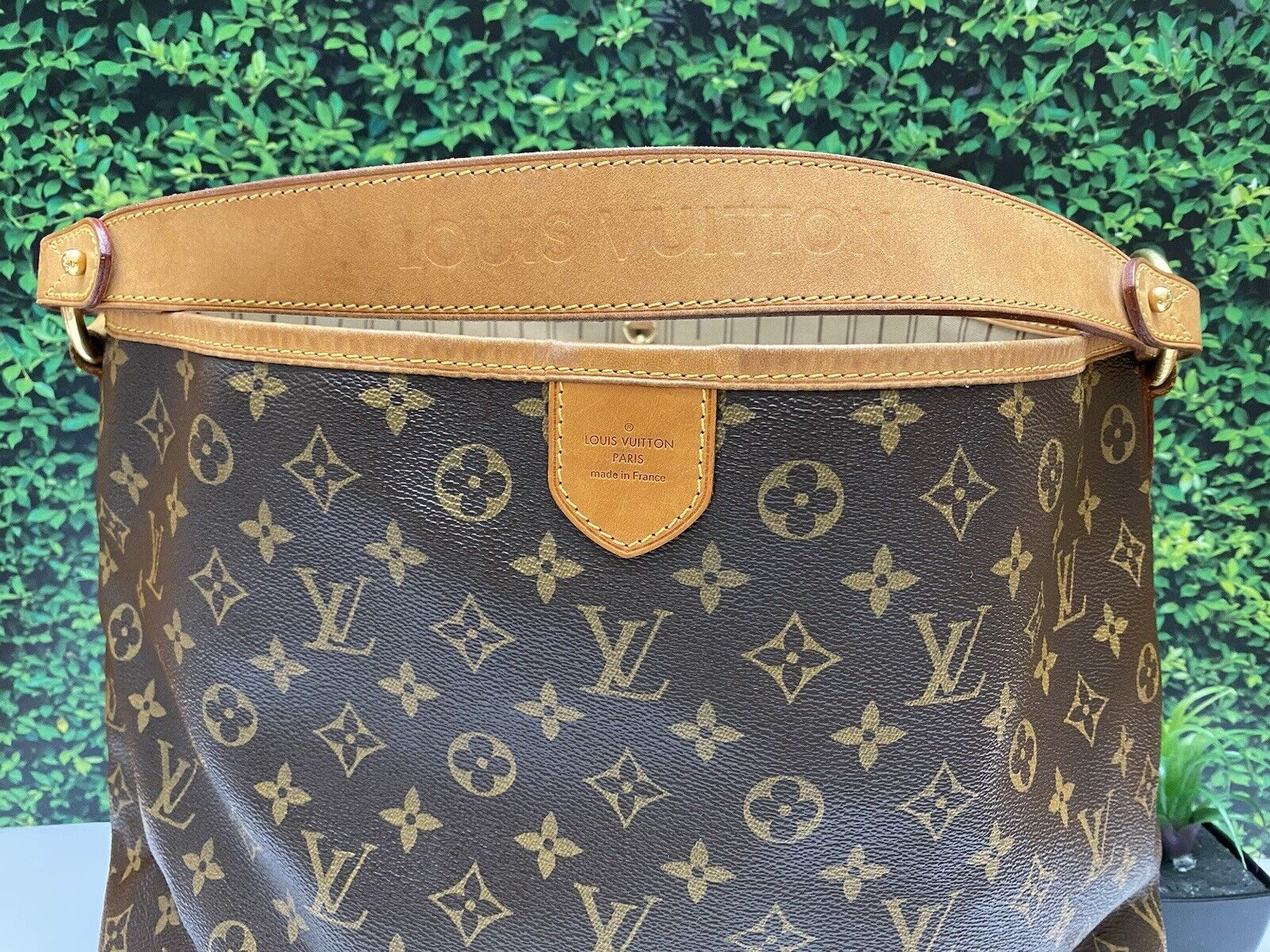 Louis Vuitton, Bags, Louis Vuitton Delightful Mm Pivone Only Bag