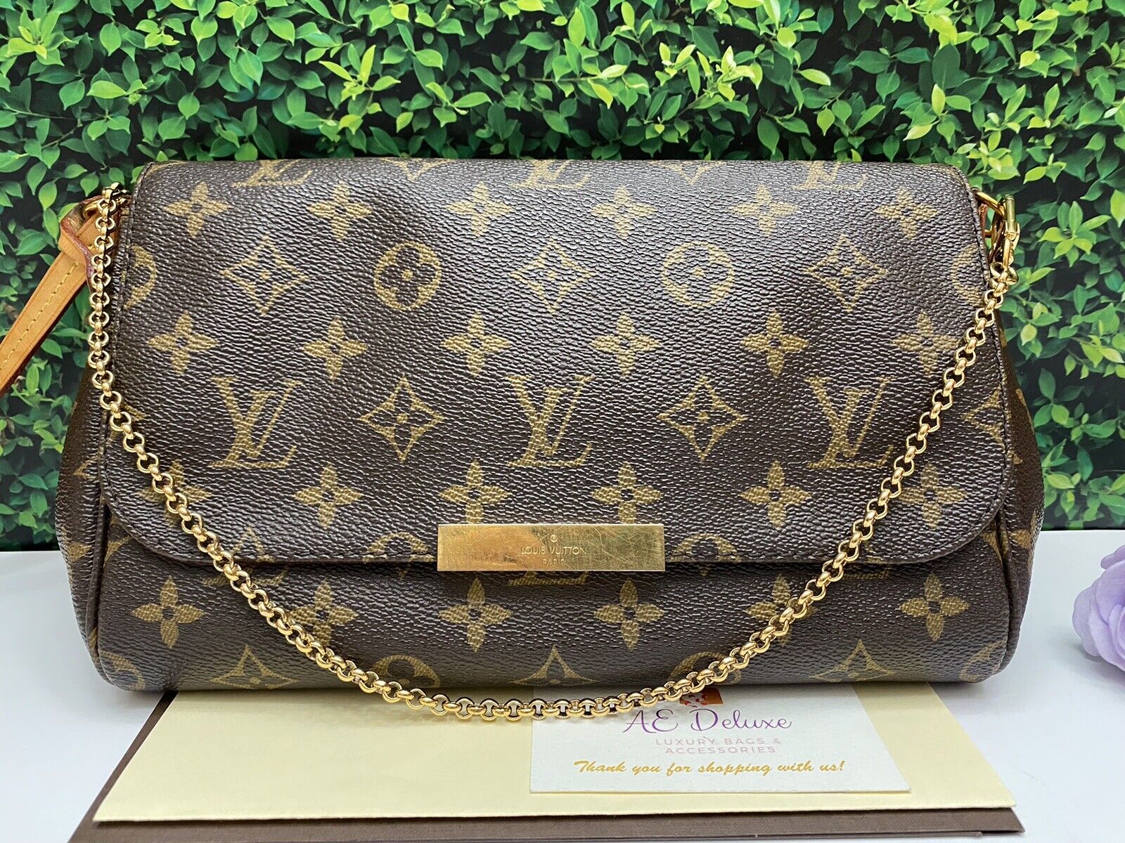 Louis Vuitton Favorite MM Monogram Chain Clutch Crossbody (FL1146