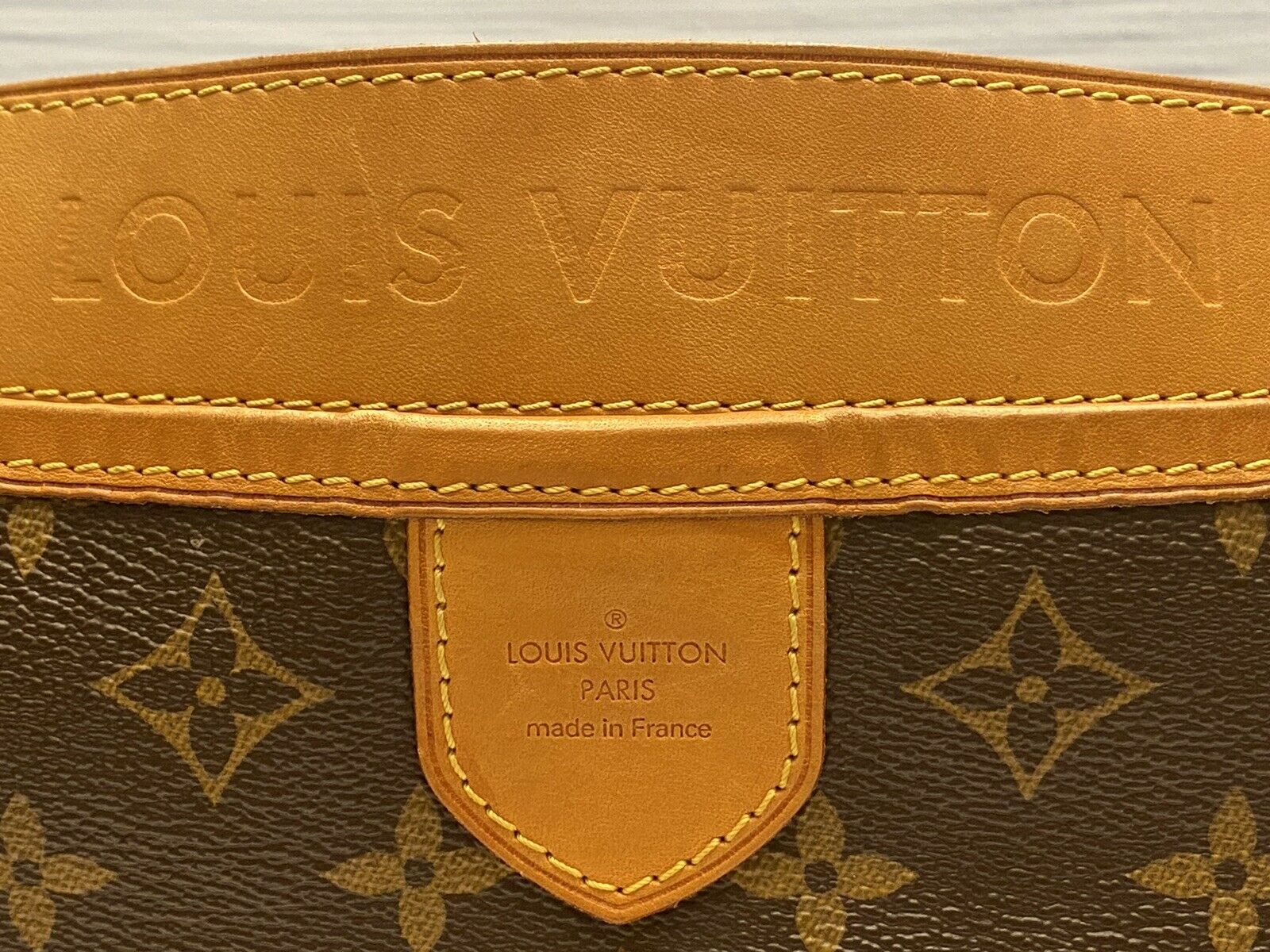 Louis Vuitton Delightful Gm Purse (fl4160)