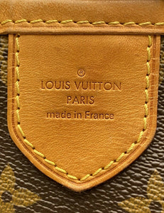 Louis Vuitton Delightful MM Monogram (MI0121)