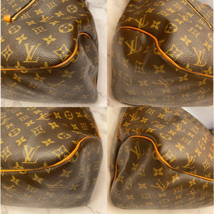 Louis Vuitton Delightful GM Bag (FL4120)