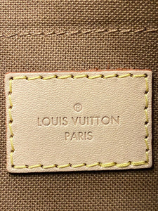 NEW Louis Vuitton Multi Pochette Accessories MNG Purse Wristlet + Dust Bag