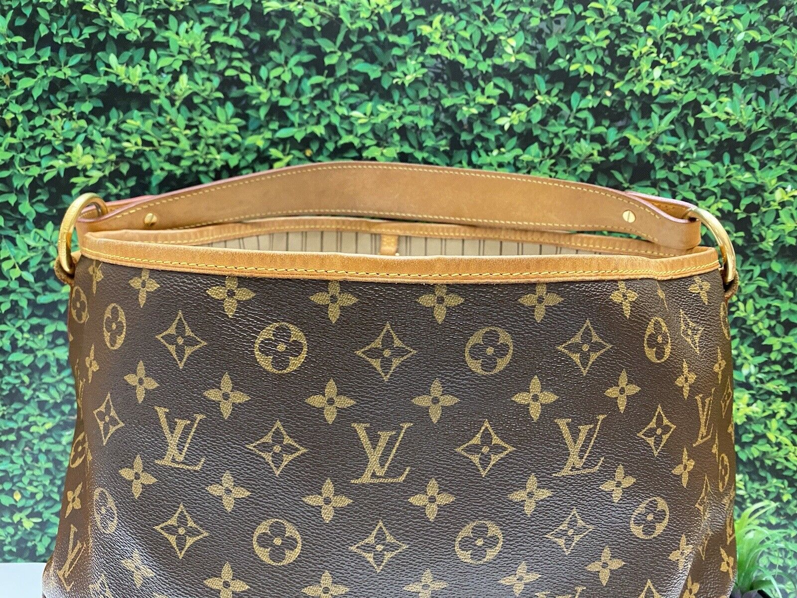 Louis Vuitton Delightful MM Monogram Beige Shoulder Bag (FL0111