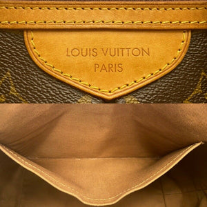 Louis Vuitton Palermo PM Shoulder Crossbody (TH2113)