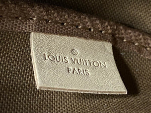 BRAND NEW Louis Vuitton Multi Pochette Accessories MNG Chain Mini Pochette
