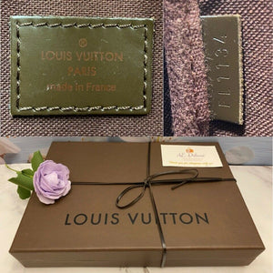 Louis Vuitton Favorite PM Damier Ebene (FL1134)