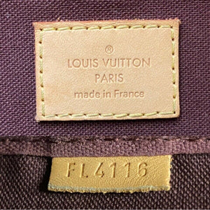 Louis Vuitton Favorite MM Monogram Chain Clutch Crossbody (FL4116)