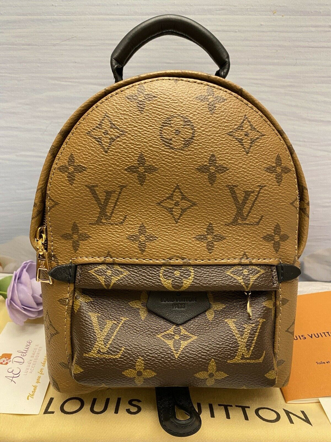 Louis Vuitton Palm Springs Mini Monogram Reverse Backpack (FL1138)